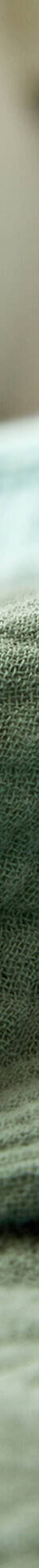 Linge de lit uni en triple gaze de coton (vert) Linge de lit uni en triple gaze de coton (vert)